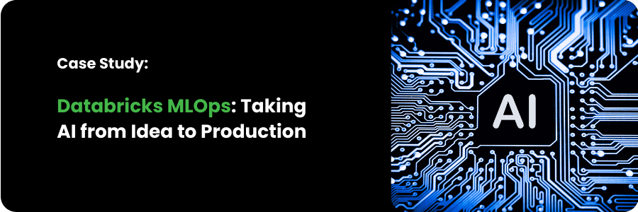 Databricks Case Study